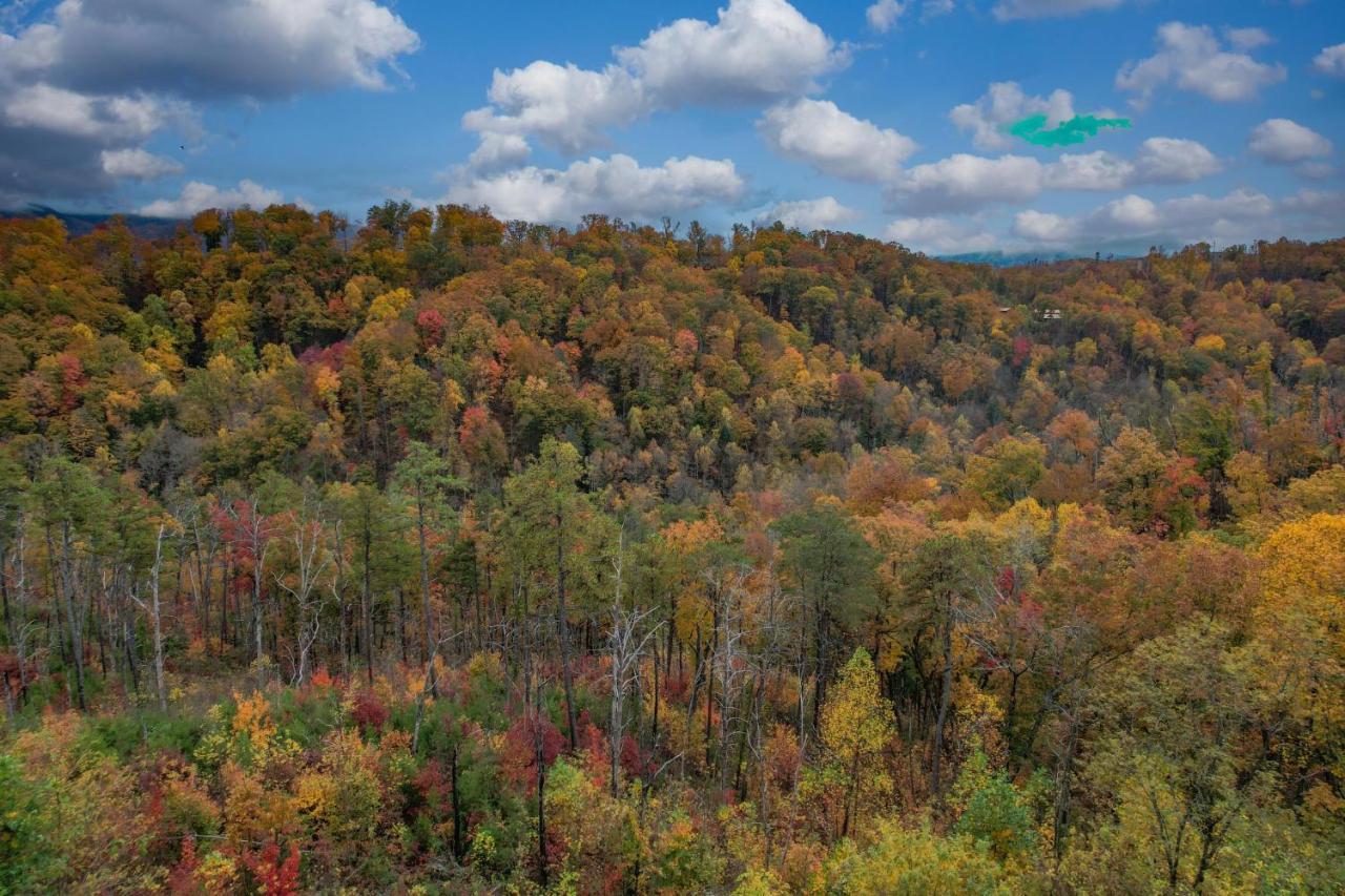 The Overlook - '21 Cabin - Gorgeous Unobstructed Views - Fire Pit Table - Gamerm - Hottub - Xbox - Lots Of Bears Gatlinburg Extérieur photo